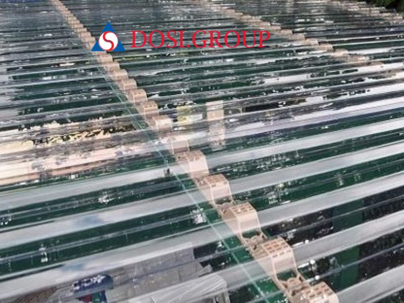 Thông số tôn lấy sáng polycarbonate 6 sóng 1mm